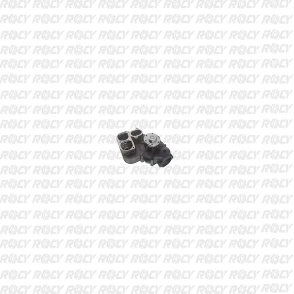 R 01 01-1297